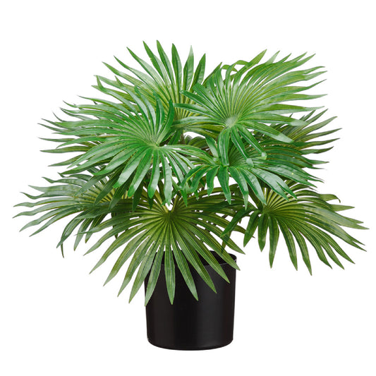 Allstate Floral 23" Fountain Palm Plant with Plastic Pot - Green