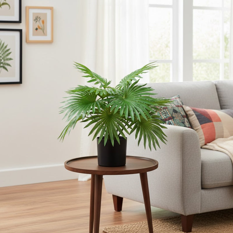 Allstate Floral 23" Fountain Palm Plant with Plastic Pot - Green