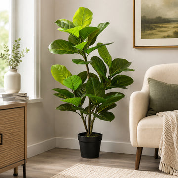 Allstate Floral 51" Large Leaf Rubber Plant in Pot - Green