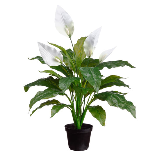 Allstate Floral 23" Peace Lily Spathiphyllum Plant with Plastic Pot - Green/White