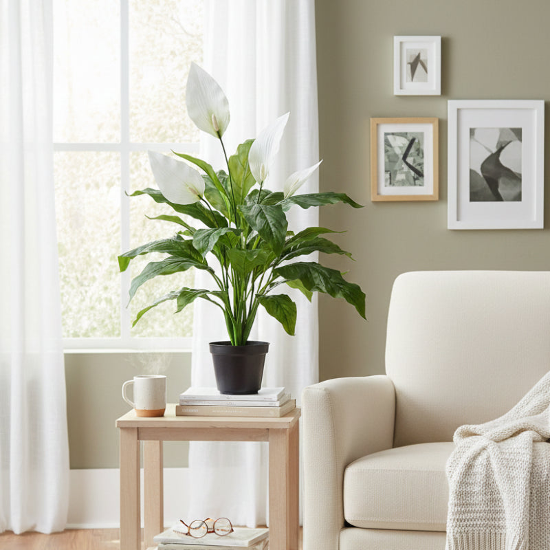 Allstate Floral 23" Peace Lily Spathiphyllum Plant with Plastic Pot - Green/White