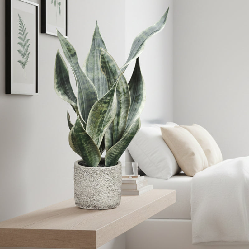 Allstate Floral 18" Sansevieria Snake Artificial Plant with Pot - Green/Gray