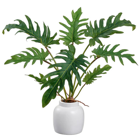 Allstate Floral 15" Selloum Philodendron Leaf Plant with Ceramic Vase - Green