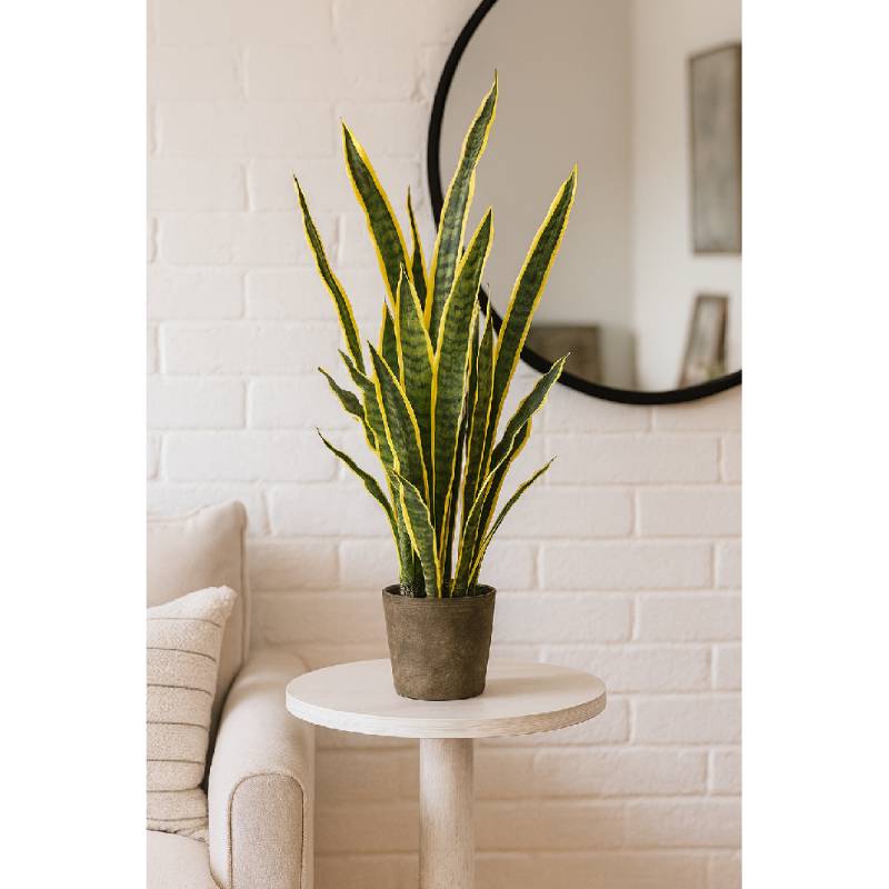 Allstate Floral 37.5" Sansevieria Snake Artificial Plant with Cement Pot - Green