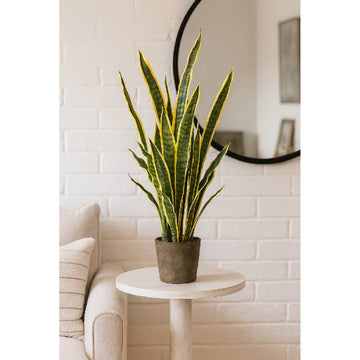 Allstate Floral 37.5" Sansevieria Snake Artificial Plant with Cement Pot - Green