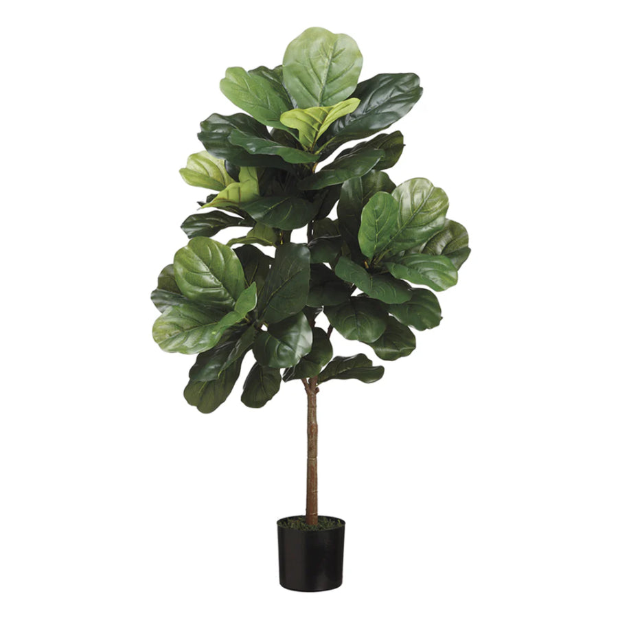 Allstate Floral 36" Fiddle Leaf Fig Tree with Pot - Green