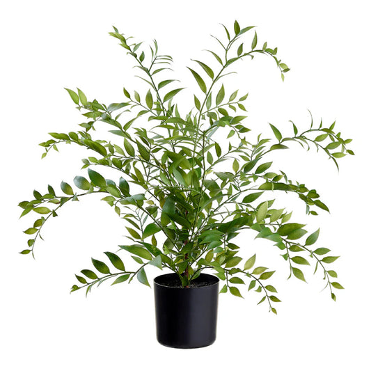 Allstate Floral 26.5" Asian Bayberry Leaf Plant with Plastic Pot - Green