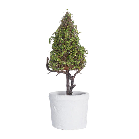 Allstate Floral 11" Baby's Tear Cone-Shaped Artificial Topiary with Clay Pot -Green