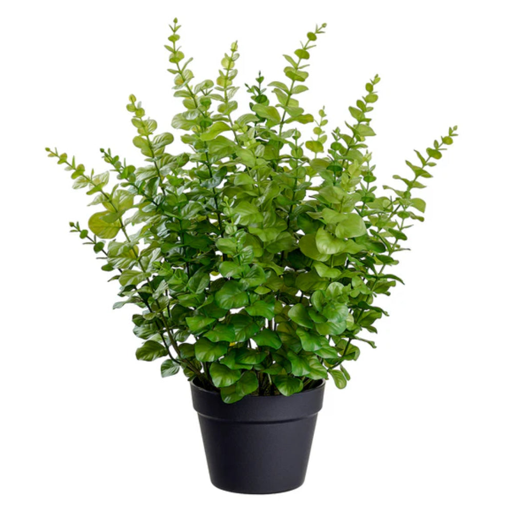 Allstate Floral 24" Eucalyptus Leaf Plant with Plastic Pot