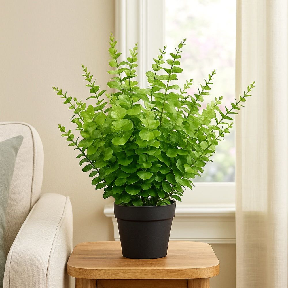 Allstate Floral 24" Eucalyptus Leaf Plant with Plastic Pot