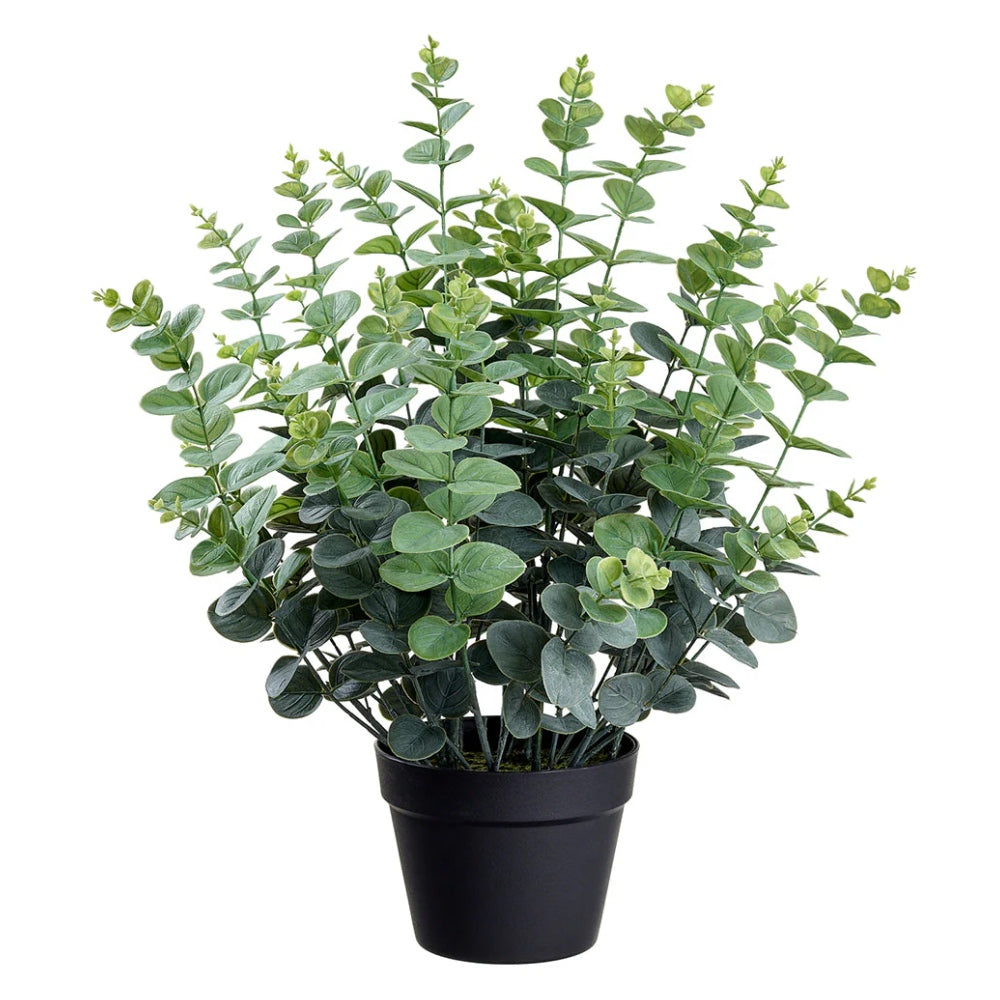 Allstate Floral 24" Eucalyptus Leaf Plant with Plastic Pot