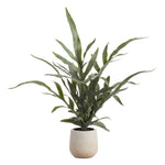 Allstate Floral 18" Java Fern Leaf Plant with Plastic Vase - Green