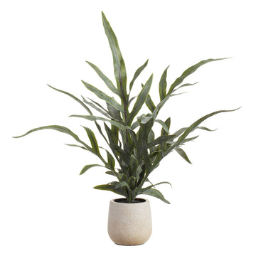 Allstate Floral 18" Java Fern Leaf Plant with Plastic Vase - Green