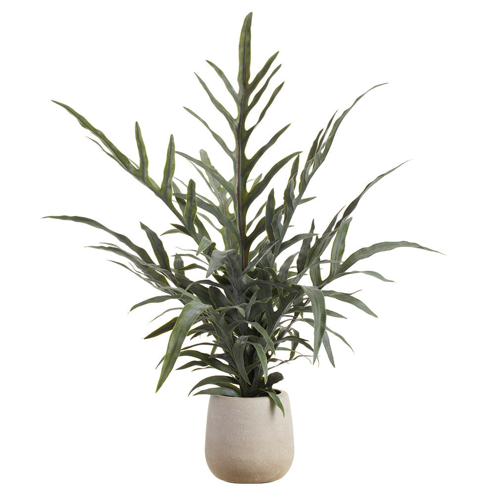 Allstate Floral 27" Java Fern Leaf Plant with Plastic Vase - Green