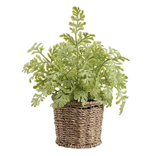 Allstate Floral 10" Fern Artificial Leaf Plant with Basket - Green