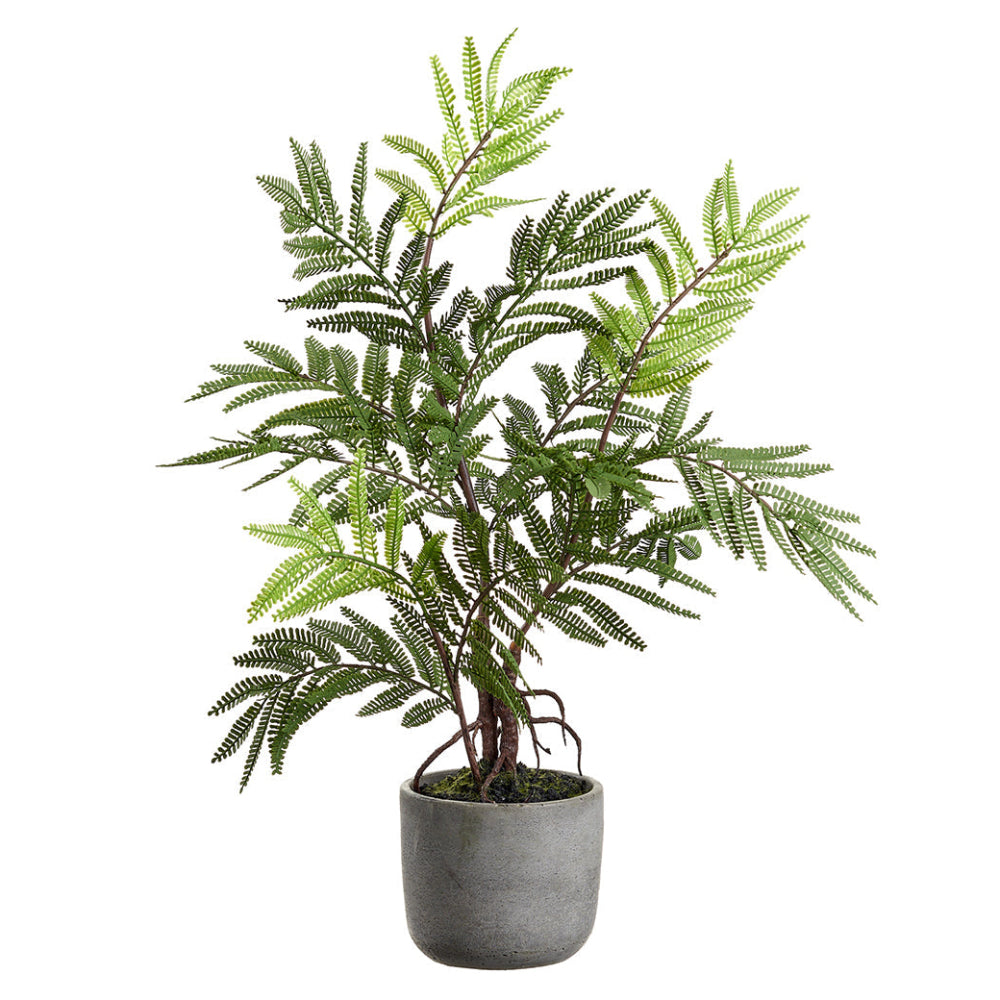 Allstate Floral Fern Artificial Leaf Tree with Cement - Green