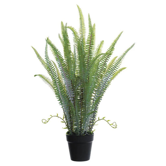 Allstate Floral 30" Sword Fern Plant with Pot - Green
