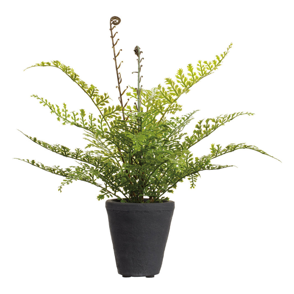 Allstate Floral 14" Soft-Touch Fern Leaf Artificial Plant with Cement Vase - Green
