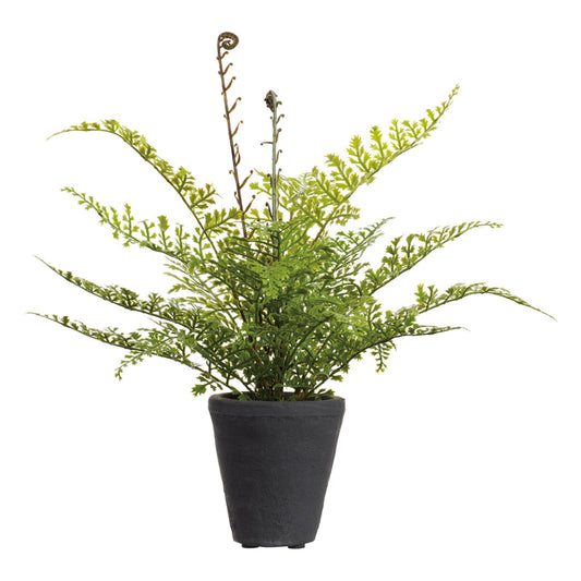 Allstate Floral 14" Soft-Touch Fern Leaf Artificial Plant with Cement Vase - Green