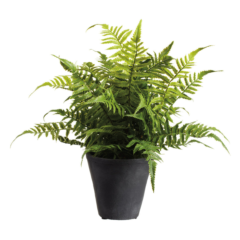 Allstate Floral 18" Soft-Touch Fern Leaf Artificial Plant with Cement Vase - Green