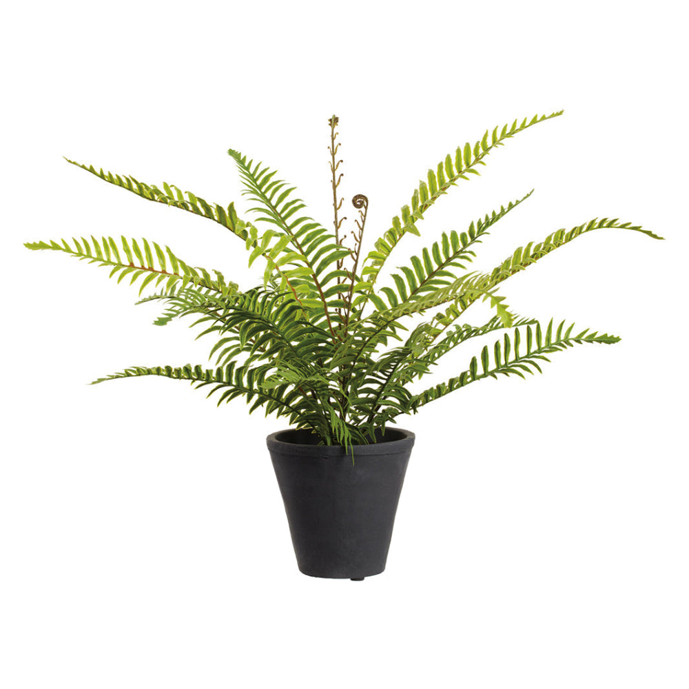 Allstate Floral 16" Soft-Touch Boston Fern Leaf Artificial Plant with Cement Vase - Green