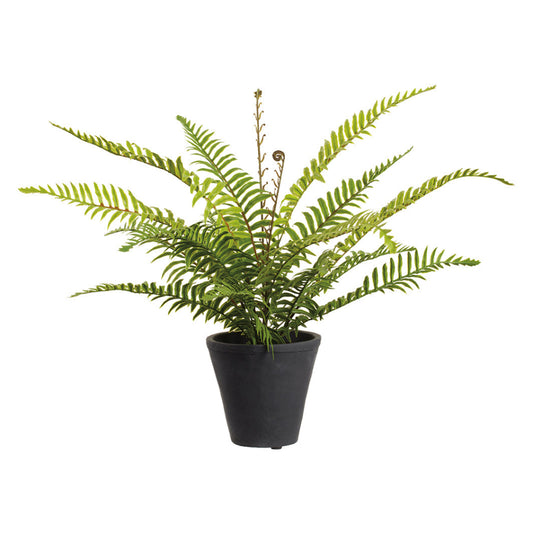 Allstate Floral 16" Soft-Touch Boston Fern Leaf Artificial Plant with Cement Vase - Green