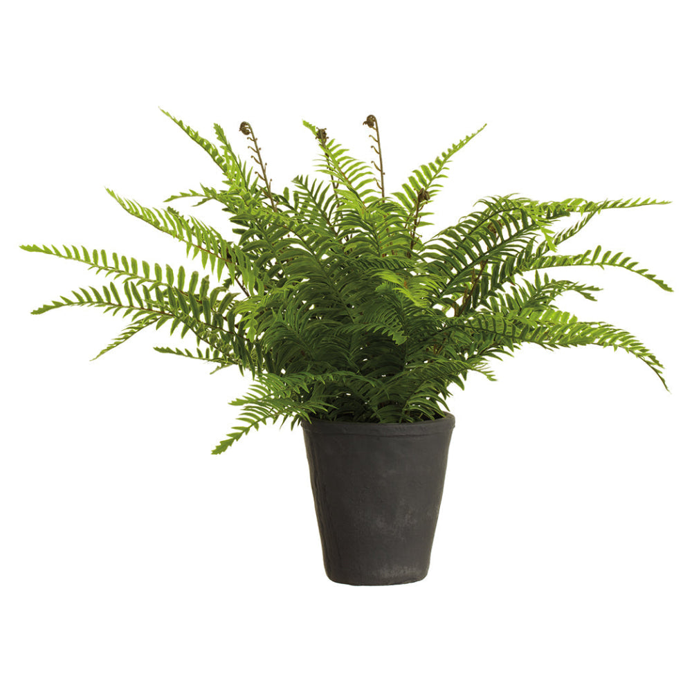 Allstate Floral 18.5" Soft-Touch Boston Fern Leaf Artificial Plant with Cement Vase - Green