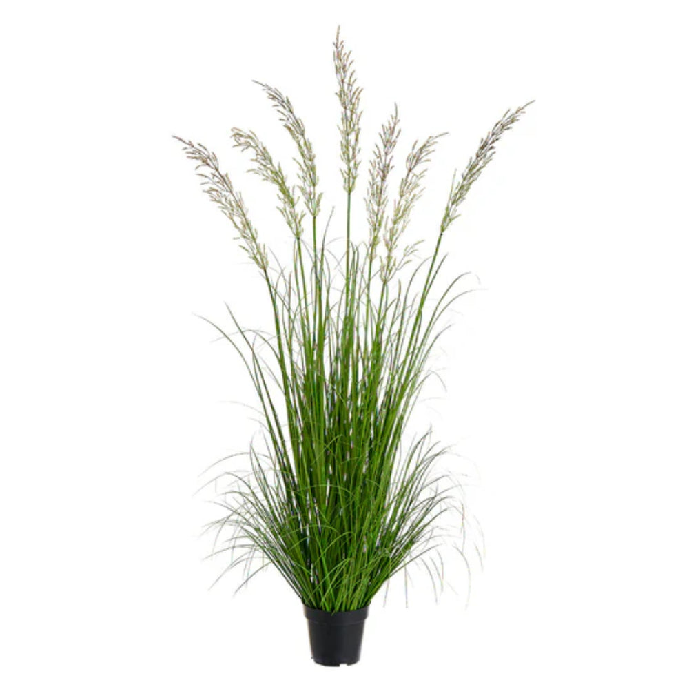 Allstate Floral 59" Wheat Grass Artificial Plant with Plastic Pot - Green