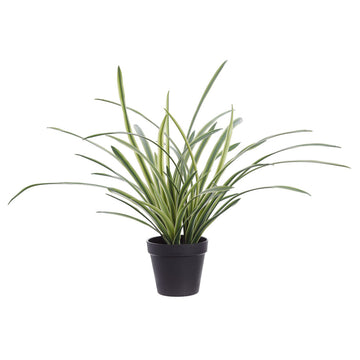 Allstate Floral 18" Lily Turf Grass Artificial Plant with Plastic Vase  - Green