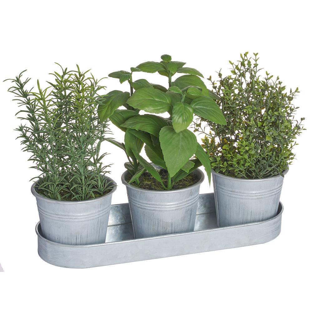 Allstate Floral 9" Mixed Herb Plants with Tin Pots - Green