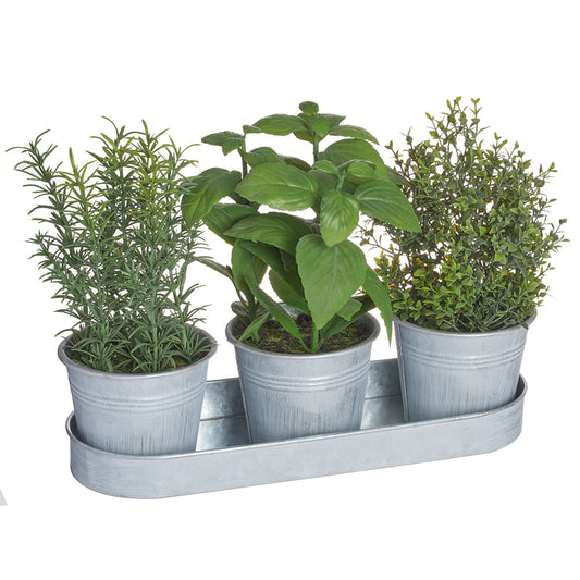 Allstate Floral 9" Mixed Herb Plants with Tin Pots - Green