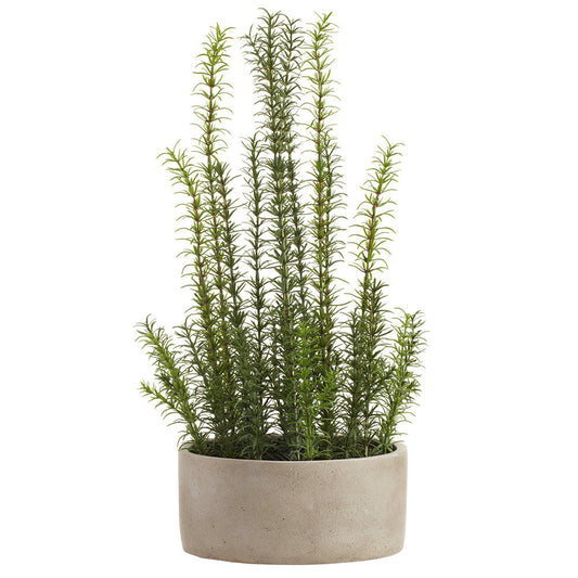 Allstate Floral 22" Rosemary Herb Artificial Plant with Cement Pot - Green
