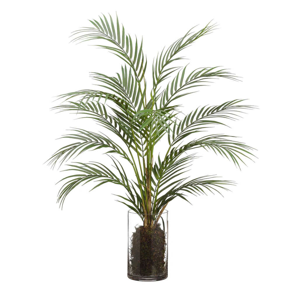 Allstate Floral 32" Areca Plant with Glass Vase - Green