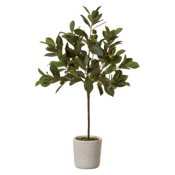 Allstate Floral 28.5" Wild Pomegranate Leaf Plant with Ceramic Pot - Green
