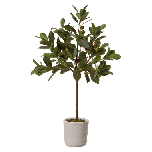 Allstate Floral 28.5" Wild Pomegranate Leaf Plant with Ceramic Pot - Green