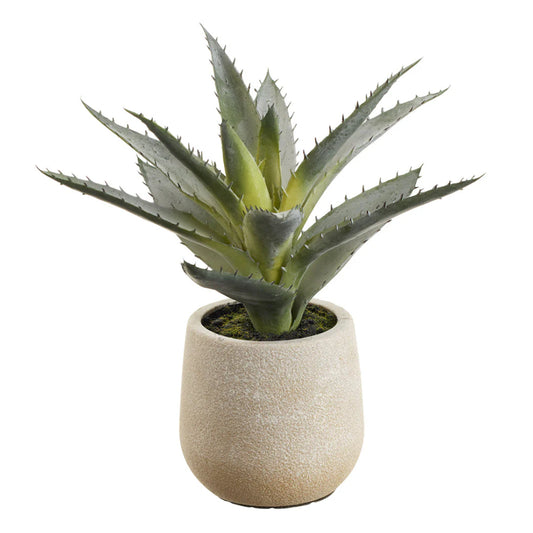 Allstate Floral 9" Agave Cactus Artificial Plant with Plastic Pot -Green/Gray
