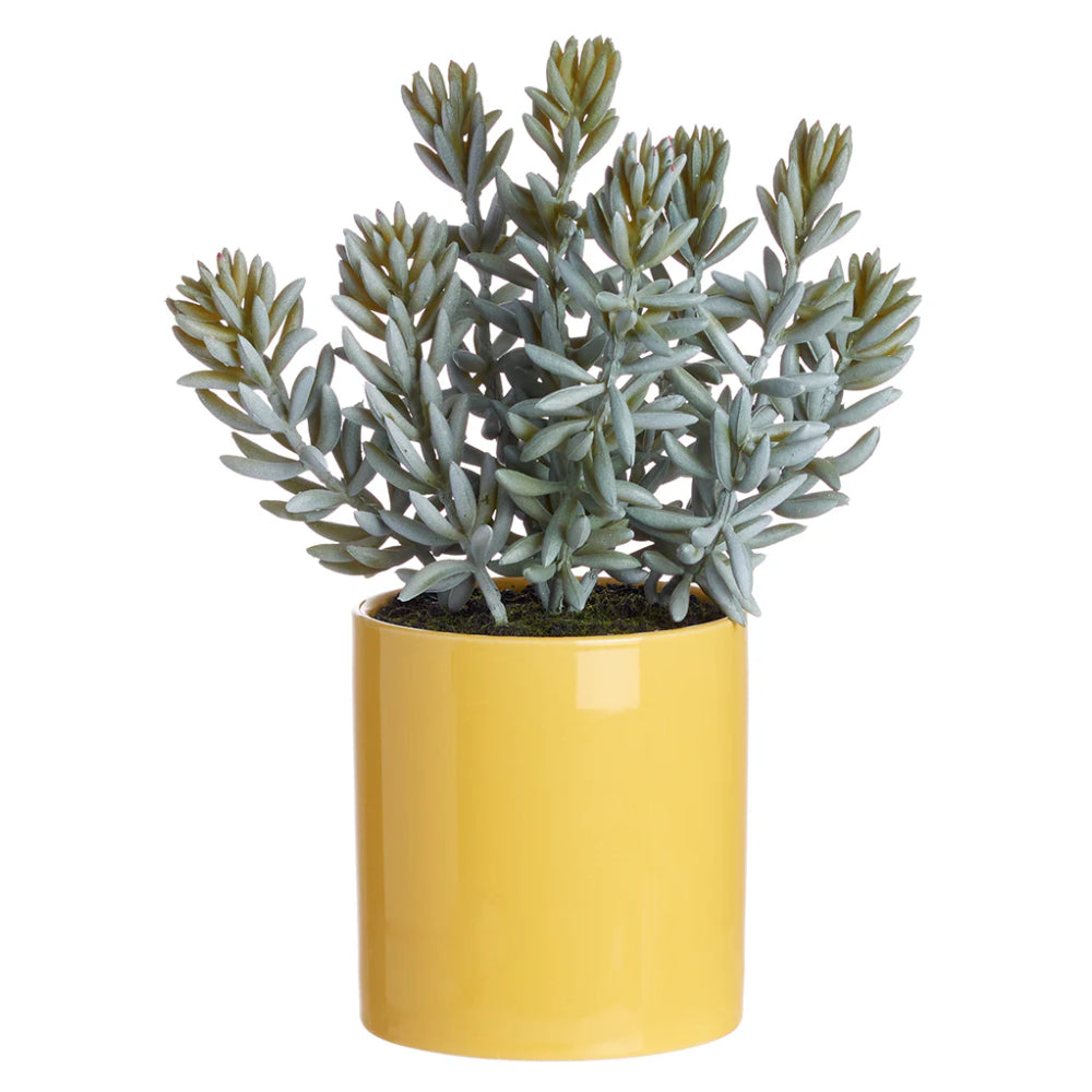 Allstate Floral 8" Sedum Artificial Plant with Ceramic Pot - Green