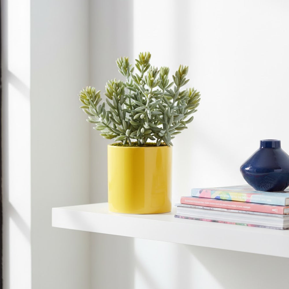 Allstate Floral 8" Sedum Artificial Plant with Ceramic Pot - Green