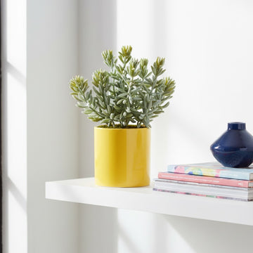 Allstate Floral 8" Sedum Artificial Plant with Ceramic Pot - Green