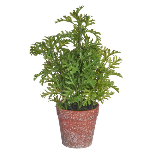 Allstate Floral 11" Senecio Leaf Artificial Plant with Plastic Pot -Green
