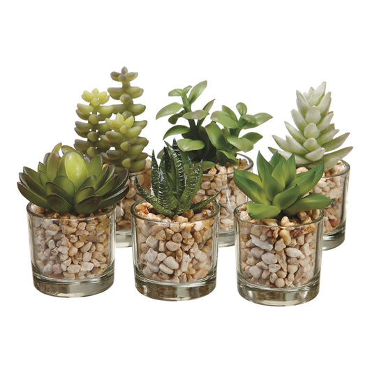 Allstate Floral Succulent Artificial Plant with Glass Vase - Assortment