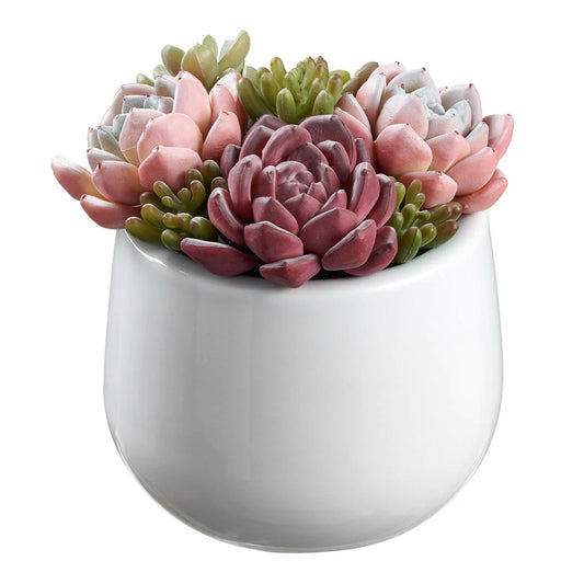 Allstate Floral 6" Succulent Garden Artificial Plant with Ceramic Pot
