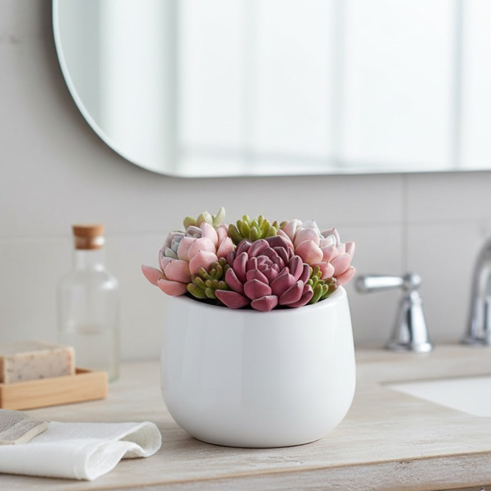 Allstate Floral 6" Succulent Garden Artificial Plant with Ceramic Pot