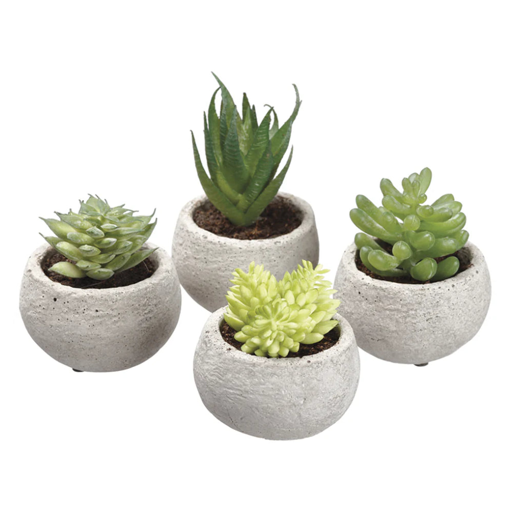 Allstate Floral Succulent Artificial Plants with Cement Pots - Assortment