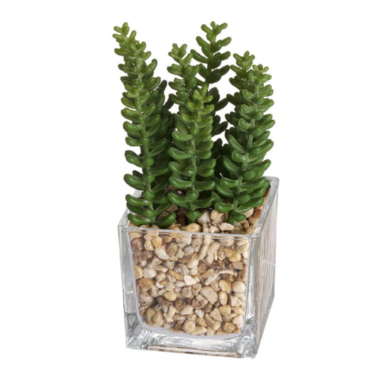 Allstate Floral 7" Sedum Artificial Plant with Glass Vase - Green