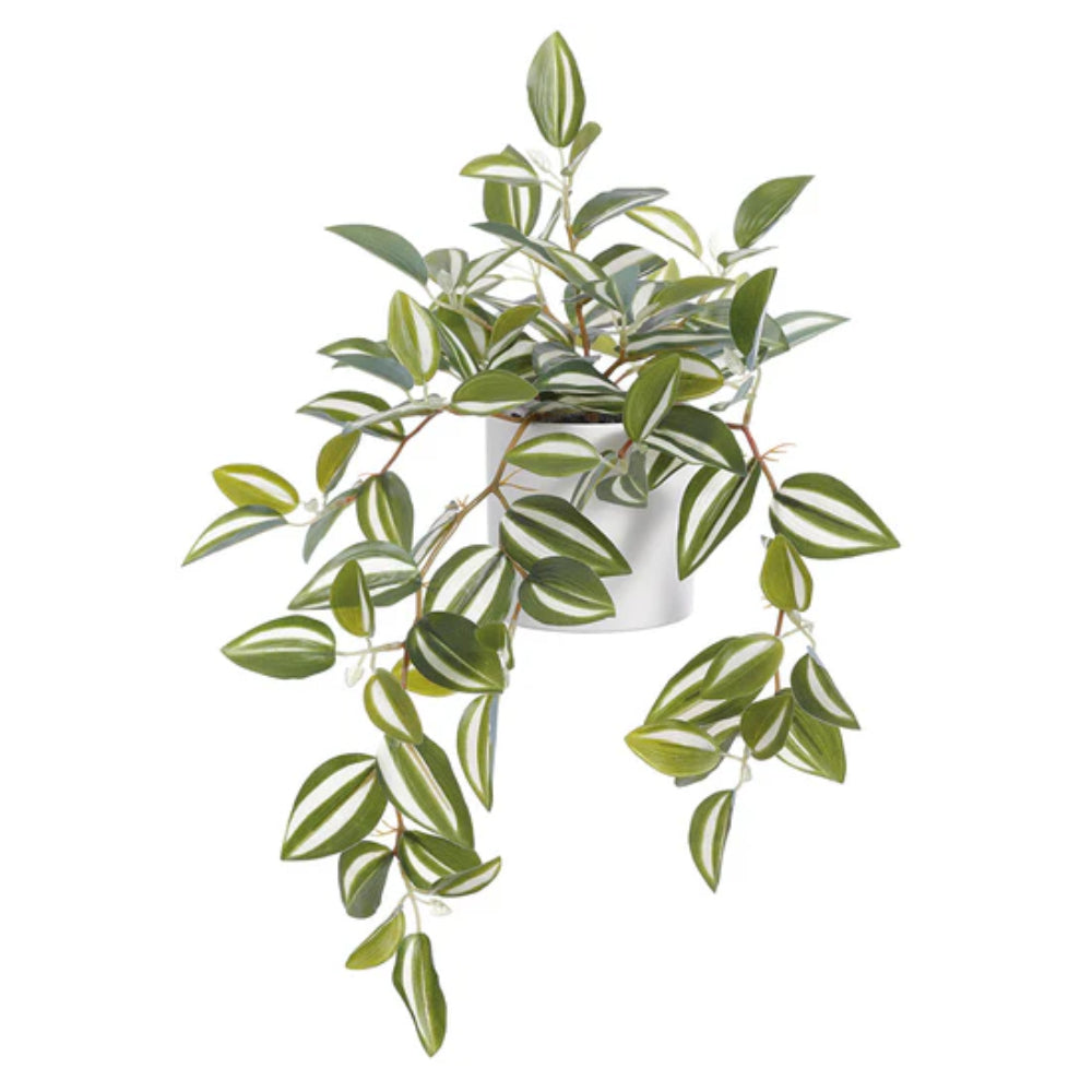 Allstate Floral 10" Wandering Jew Hanging Plant with Terra Cotta Pot - Green