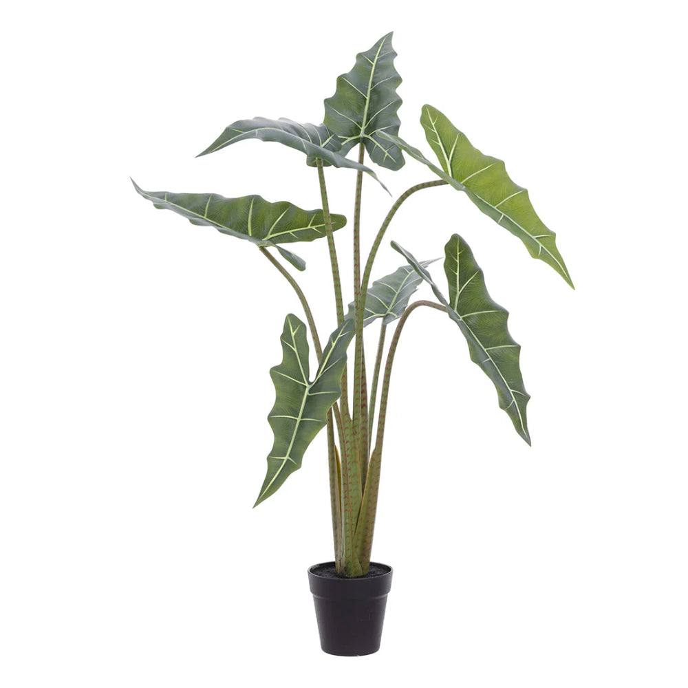 Allstate Floral 39" Alocasia Leaf Silk Plant with Pot - Green