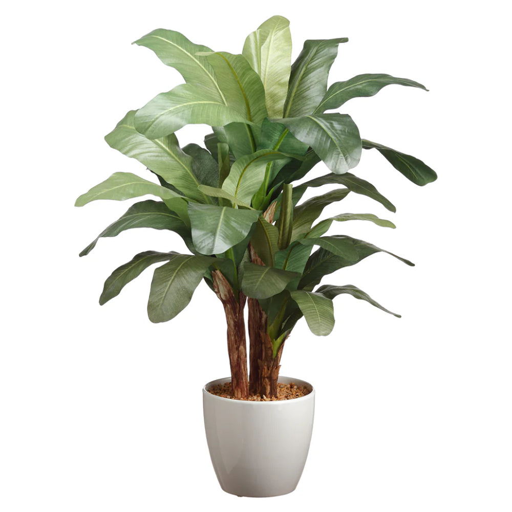 Allstate Floral 29.75" Banana Palm Plant with Ceramic Pot - Green