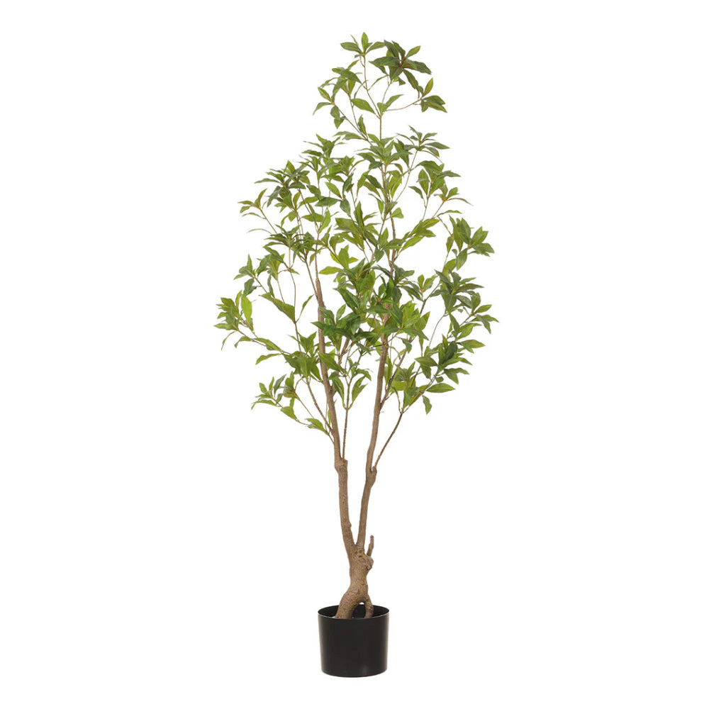 Allstate Floral 62" Pieris Japonica Silk Tree With Pot - Green
