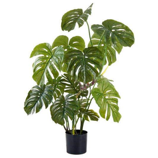 Allstate Floral 48" Split Philodendron Monstera Plant with Plastic Pot - Green